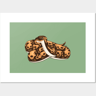 Normal Ball Python Digital Illustration Posters and Art